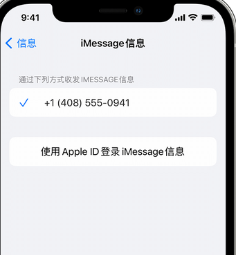 路南apple维修iPhone上无法正常发送iMessage信息