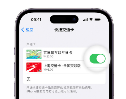 路南apple维修点分享iPhone上更换Apple Pay快捷交通卡手绘卡面 