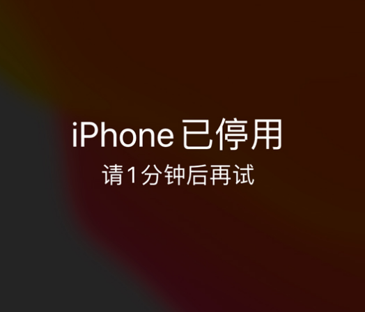 路南苹果手机维修分享:iPhone 显示“不可用”或“已停用”怎么办？还能保留数据吗？ 