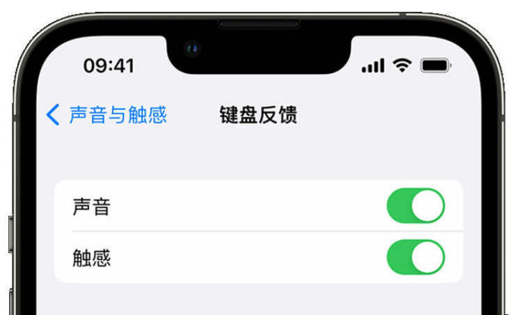 路南苹果手机维修分享iPhone 14触感键盘使用方法 