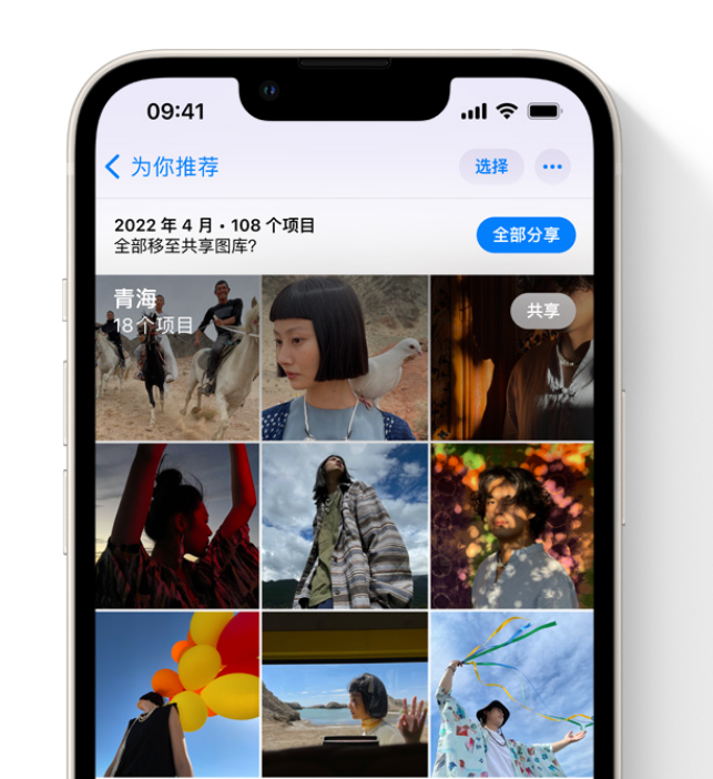 路南苹果维修网点分享在 iPhone 上使用共享图库 