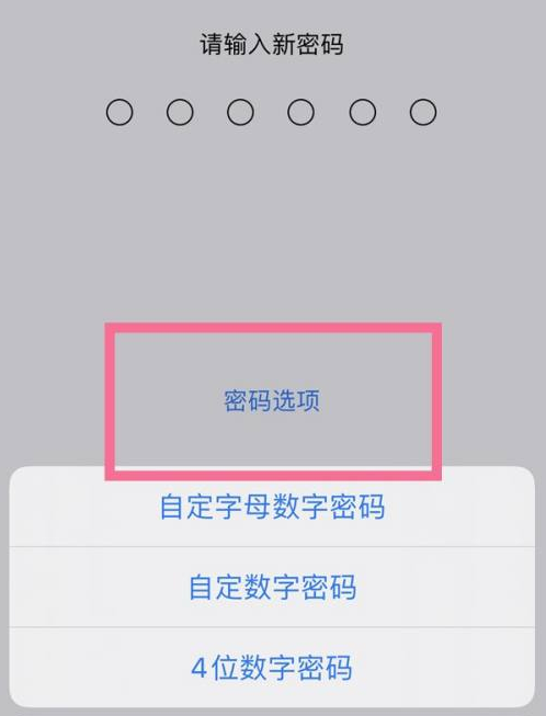 路南苹果14维修分享iPhone 14plus设置密码的方法 