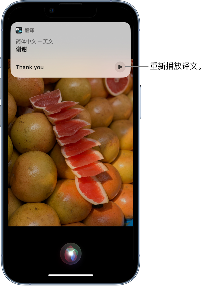 路南苹果14维修分享 iPhone 14 机型中使用 Siri：了解 Siri 能帮你做什么 