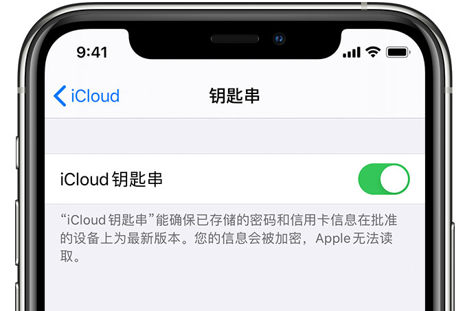 路南苹果手机维修分享在 iPhone 上开启 iCloud 钥匙串之后会储存哪些信息 