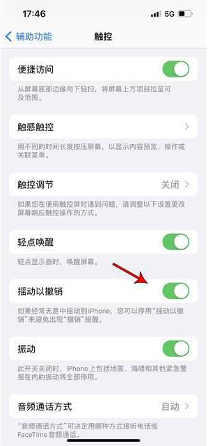 路南苹果手机维修分享iPhone手机如何设置摇一摇删除文字 